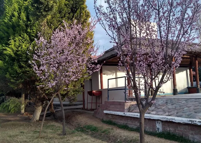 Casa Amplia, Jardin Maravilloso
