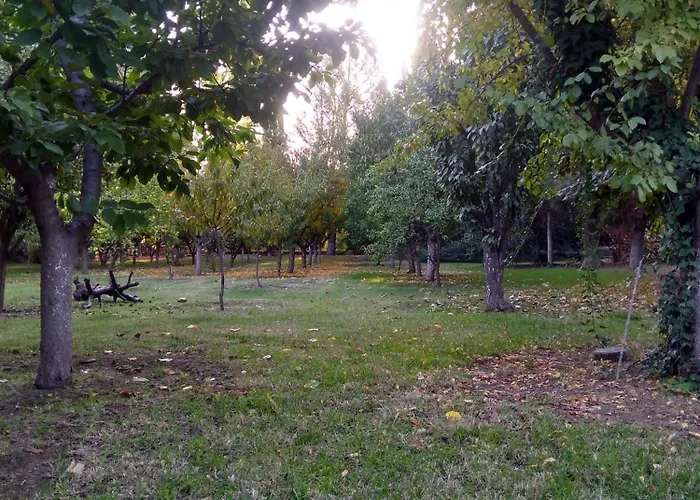 Casa Amplia, Jardin Maravilloso
