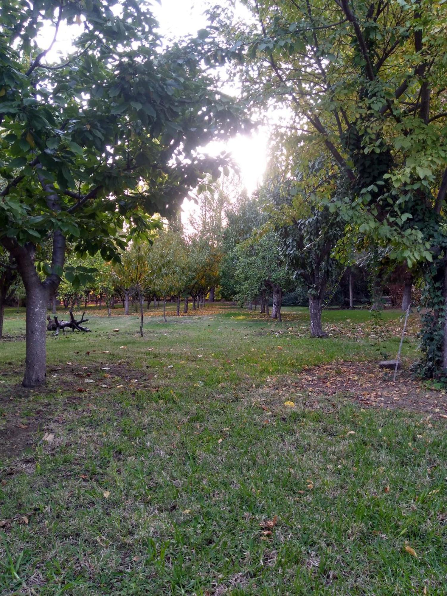 Casa Amplia, Jardin Maravilloso Holiday home *
